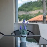 Veda - веда *